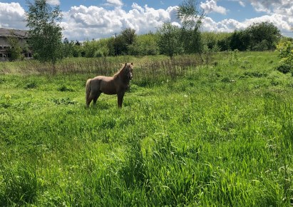 działka na sprzedaż - Goleniów