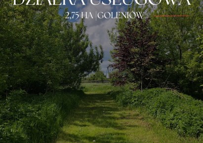 działka na sprzedaż - Goleniów