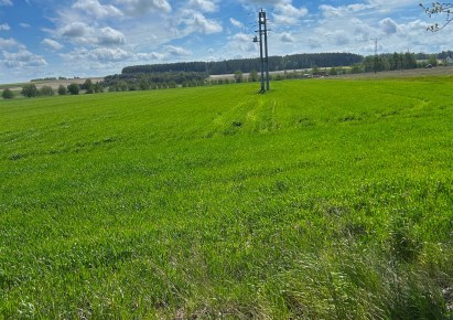parcel for sale - Krokowa, Minkowice