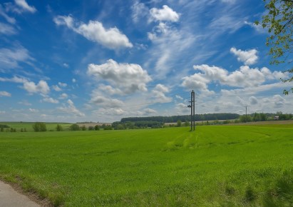 działka na sprzedaż - Krokowa, Minkowice